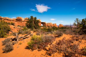 USA, Utah, Arches National Park, Devils Garden, rock formations, USA, Utah, Arches National Park, Devils Garden, rock formations,